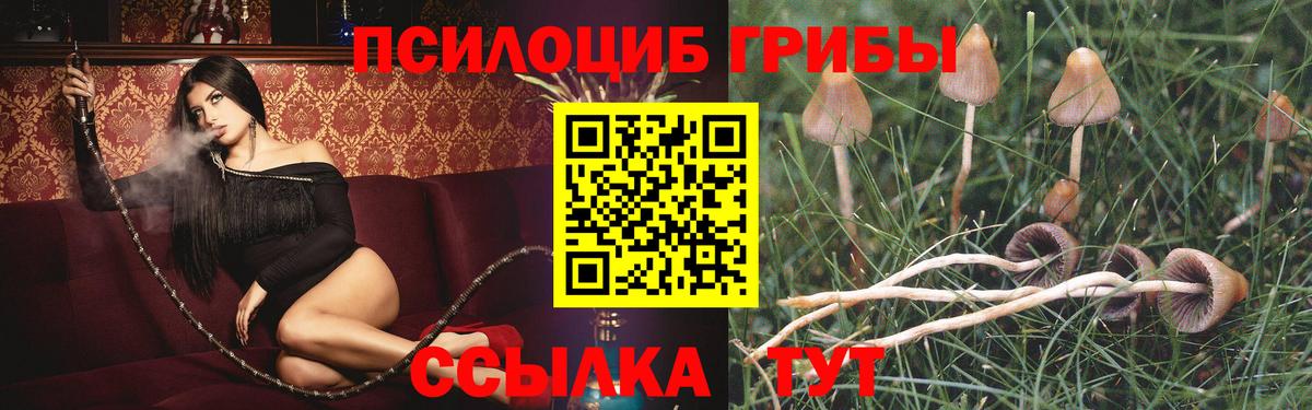 Луга  Псилоцибиновые грибы ЛСД  Вход с VPN 